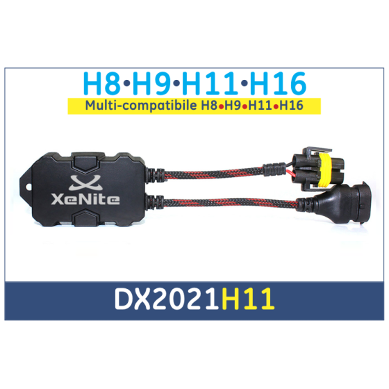 DX2021H11
