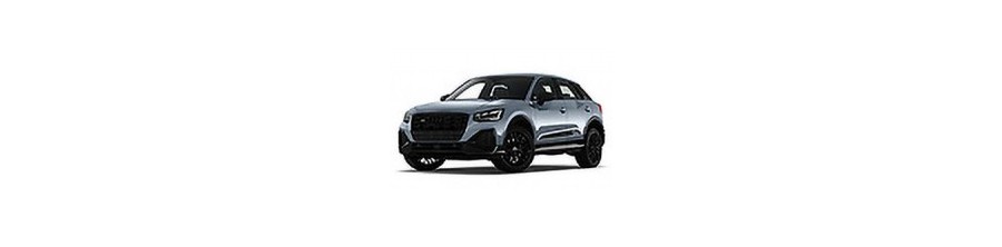 AUDI Q2 (2016 in poi)