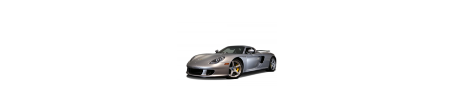 PORSCHE Carrera Gt